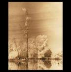 koldinger teich