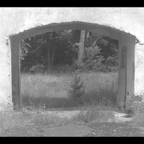Fenster zum Wald