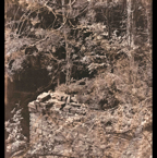 beelitzer heilstaetten 09