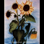 Sonnnblumen.JPG